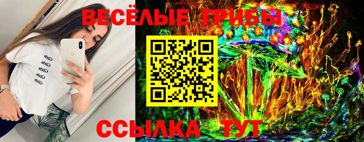 Ноябрьск  как найти закладки  Вход с VPN  Псилоцибиновые грибы ЛСД 